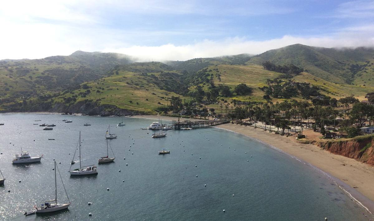 View from hill above Isthmus Cove Catalina
